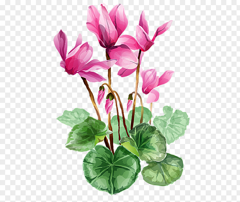 Flowers Pattern Flower Clip Art PNG