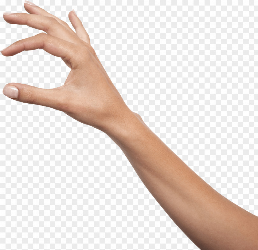 Hands Hand Image Holding Icon PNG