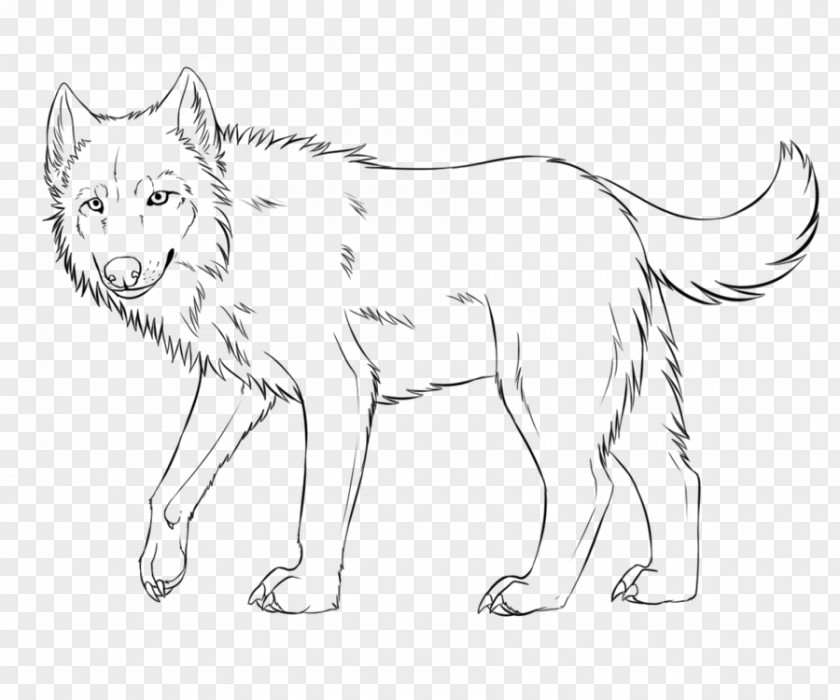 Line Art Gray Wolf Whiskers Coyote Red Fox PNG