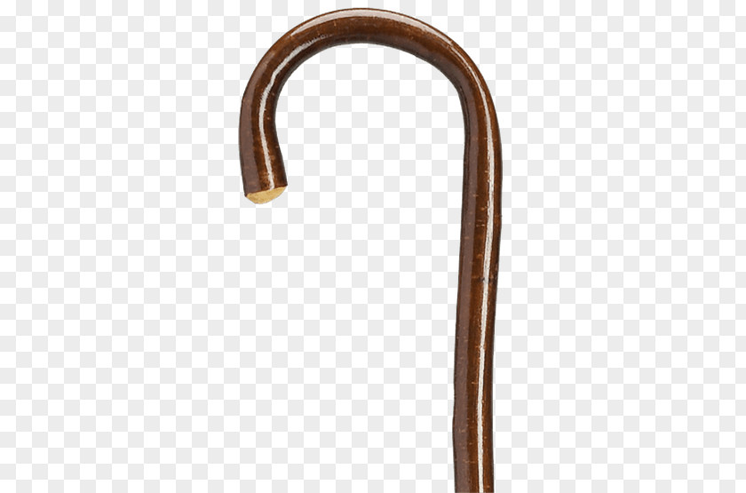 Walking Cane Stick Assistive Bastone Hand PNG