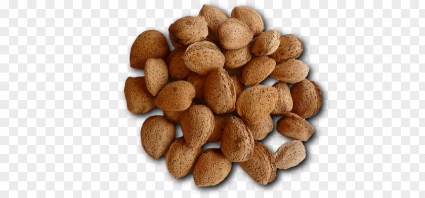 Mixed Nuts Tree Nut Allergy Peanut VY2 PNG