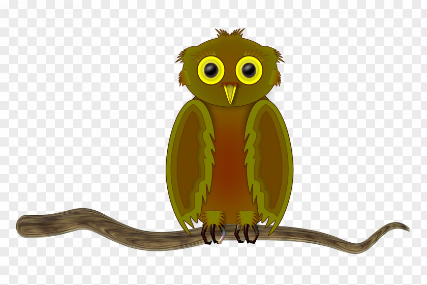 Owl Bird Of Prey Clip Art PNG