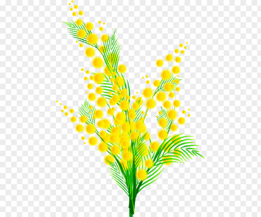 Yellow Leaf Plant Flower Grass PNG