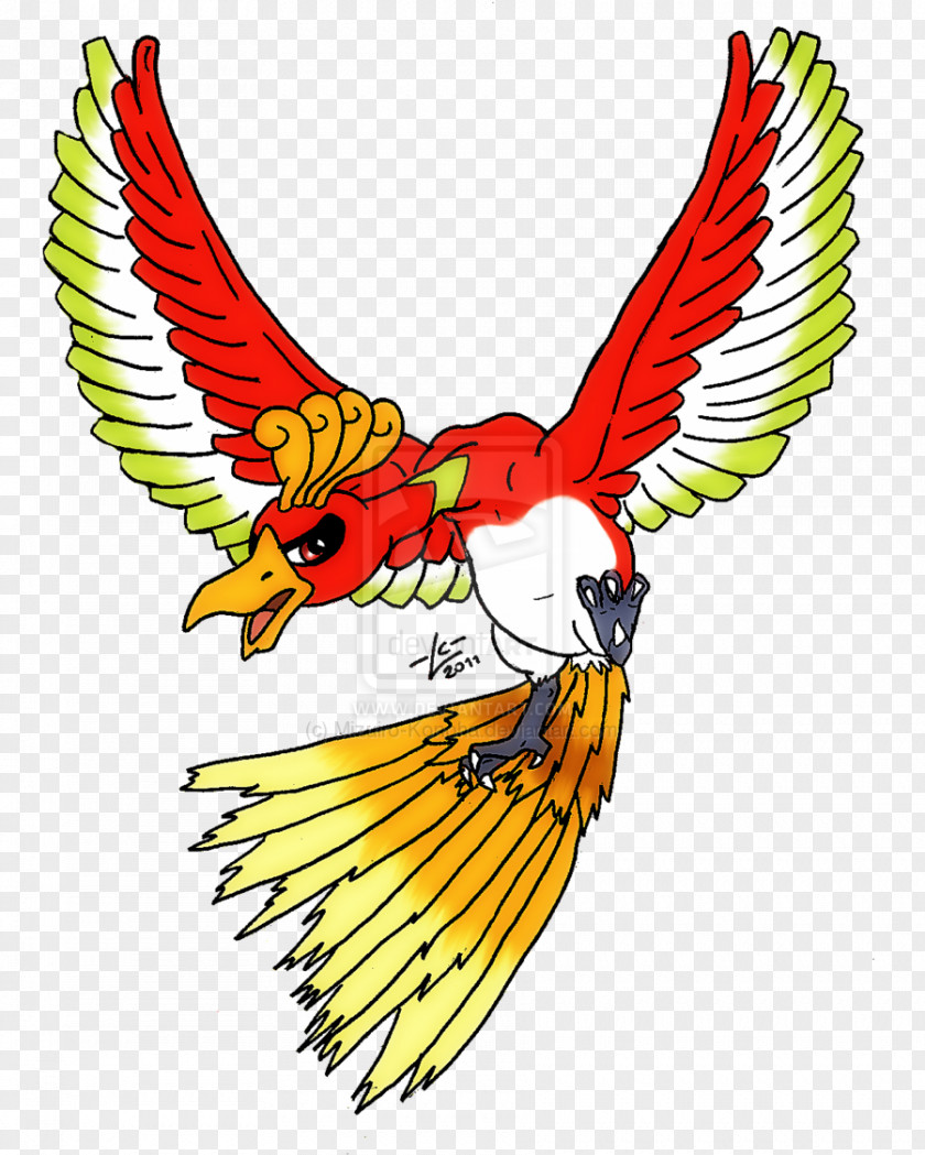 Bird Scarlet Macaw Beak Clip Art PNG