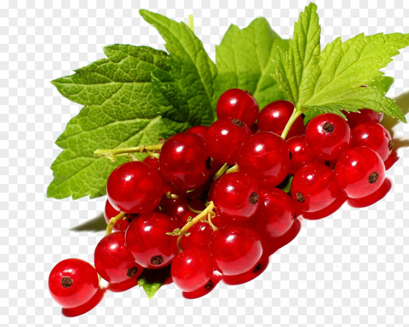 Blackcurrant Redcurrant Berry Fruit Price PNG