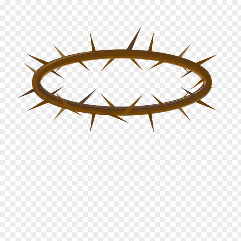 Crown Of Thorns Thorns, Spines, And Prickles Clip Art PNG