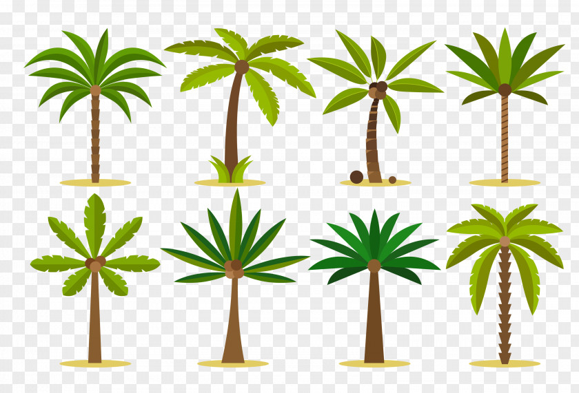 Fresh Green Vector Graphics Palm Trees Clip Art Design Tattoo PNG