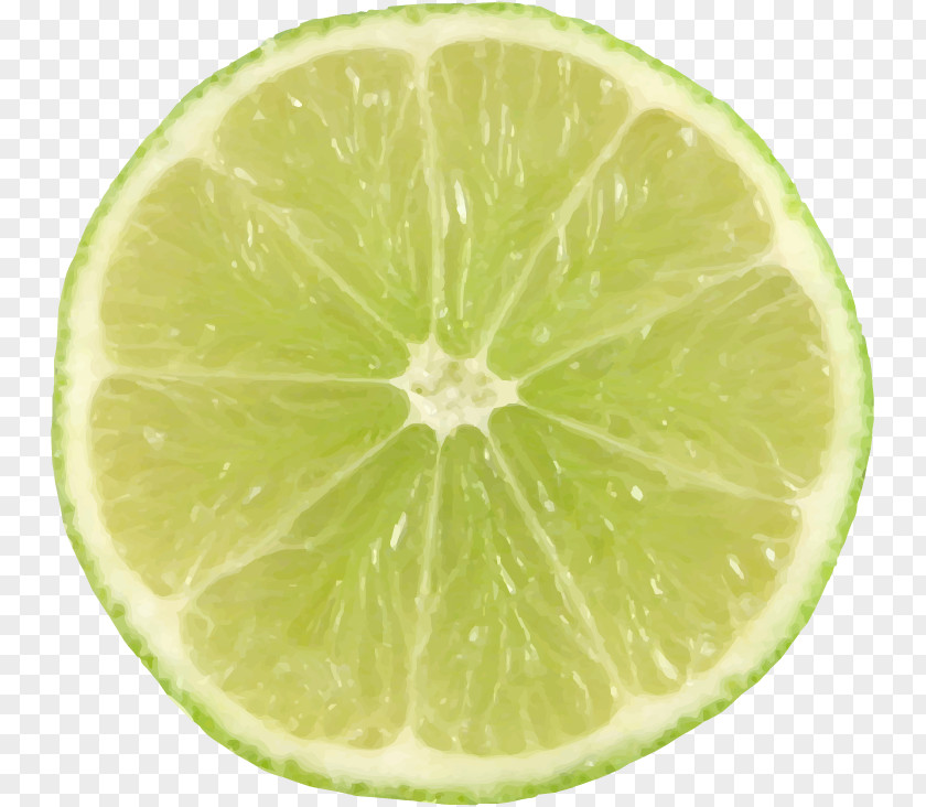 Lemon Slice Lime Fruit Clip Art PNG