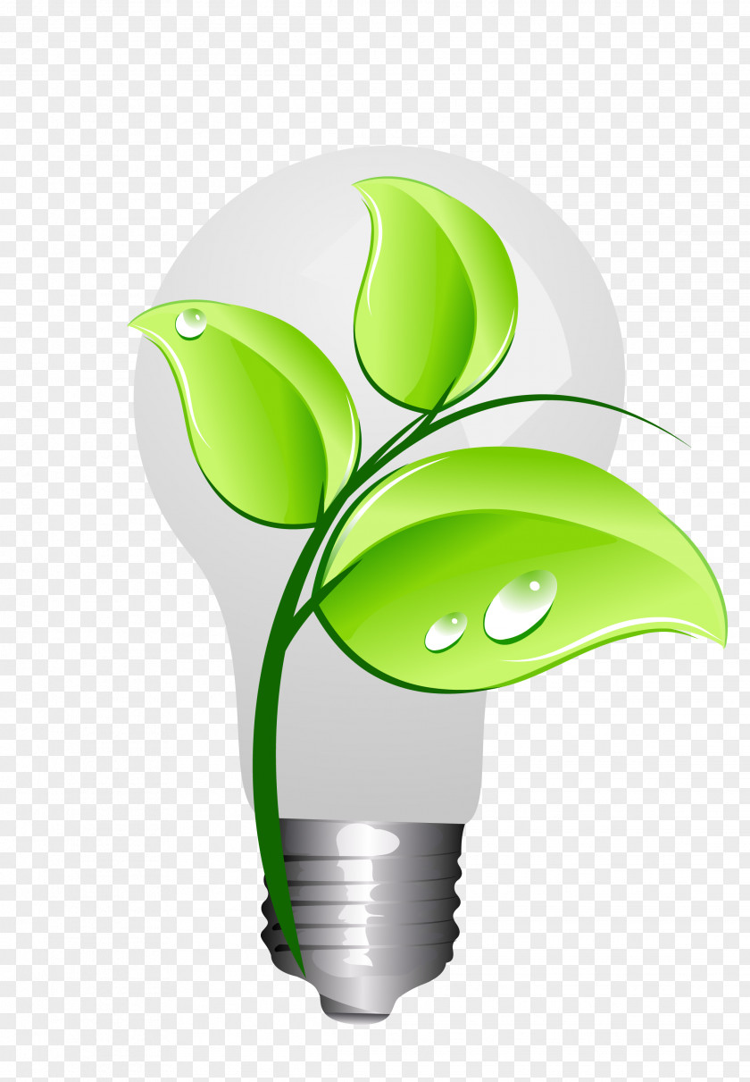 Vector Green Light Bulb Energy Conservation Animation Drawing PNG