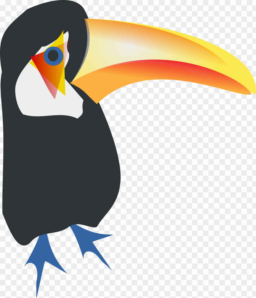 Toucan Bird Parrot Toco Clip Art PNG