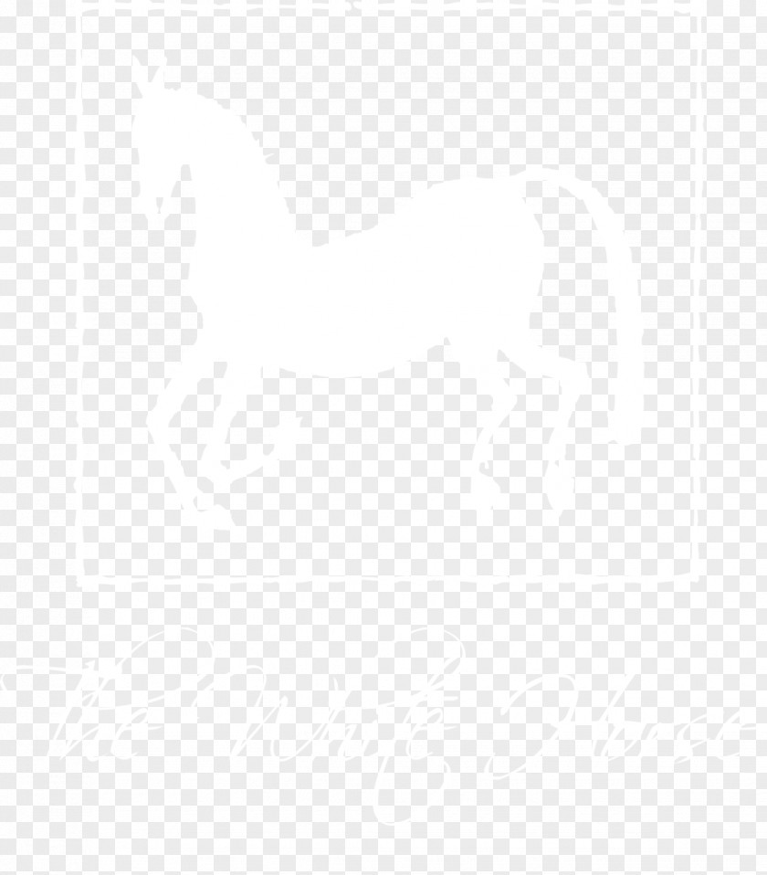 Whitehorse Uber New York City Logo Lyft Real-time Ridesharing PNG