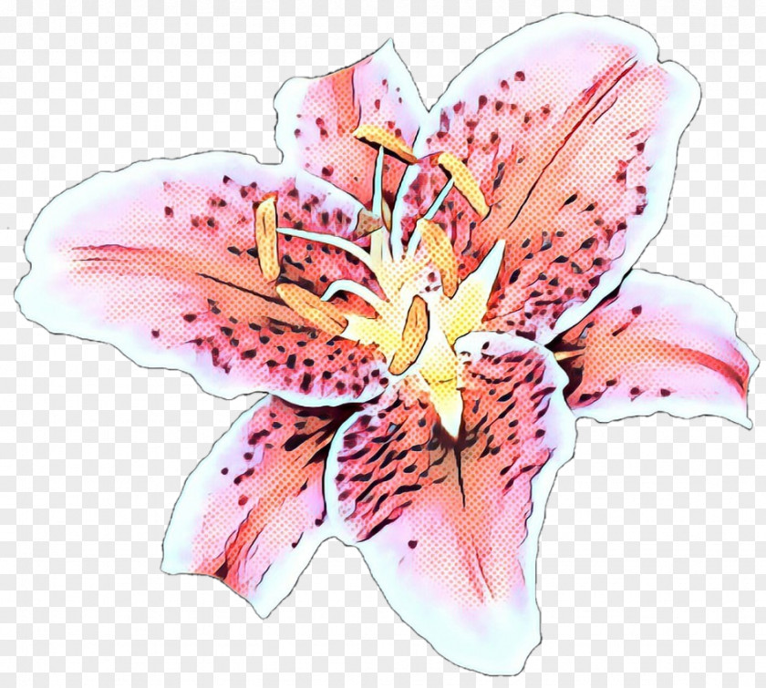 Wildflower Blossom Watercolor Pink Flowers PNG