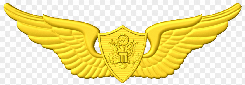 Army Aviation Wings Badges United States Of America Astronaut Badge Aviator Clip Art PNG