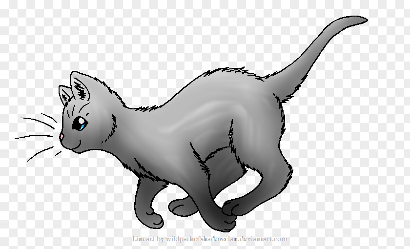 Cloudy Tabby Cat Warriors Kitten Drawing PNG