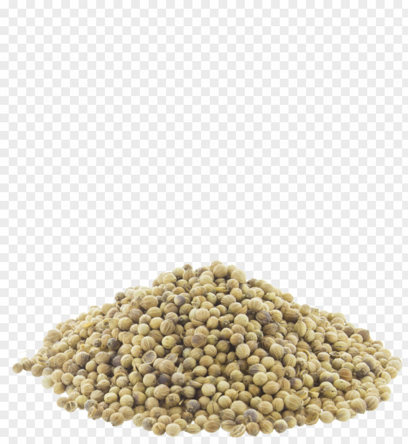 Coriander Seed Indian Cuisine Spice Food PNG