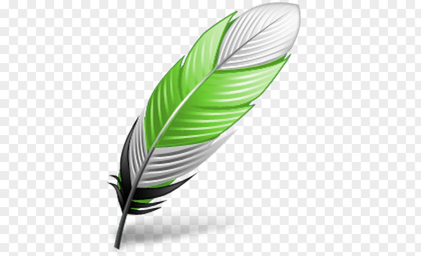 Feather Clip Art Bird PNG