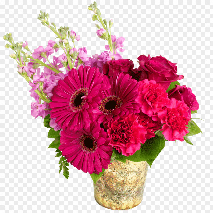 Flower Transvaal Daisy Bouquet Floral Design Cut Flowers PNG