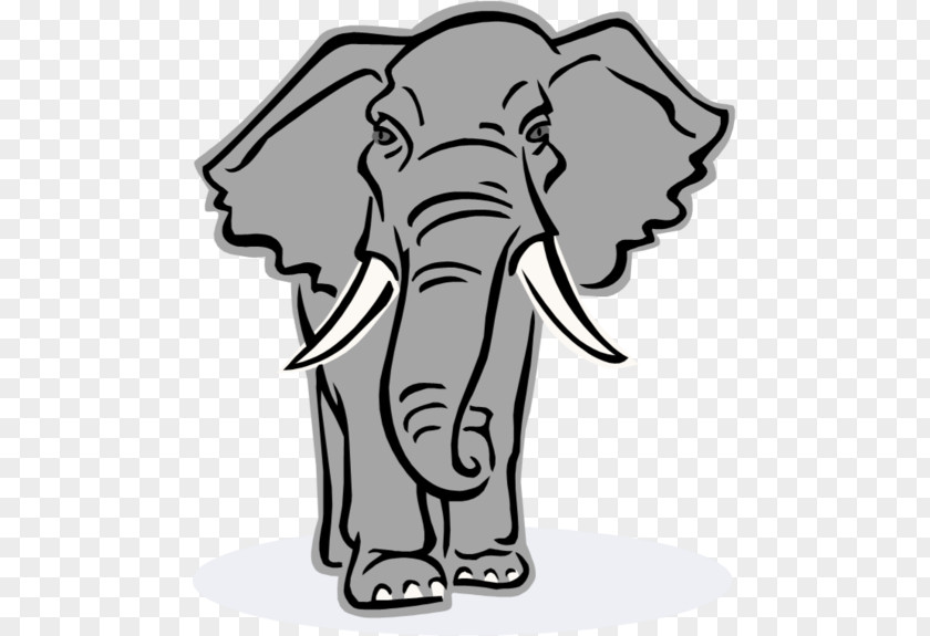 Light Coloring Book Child Elephant PNG