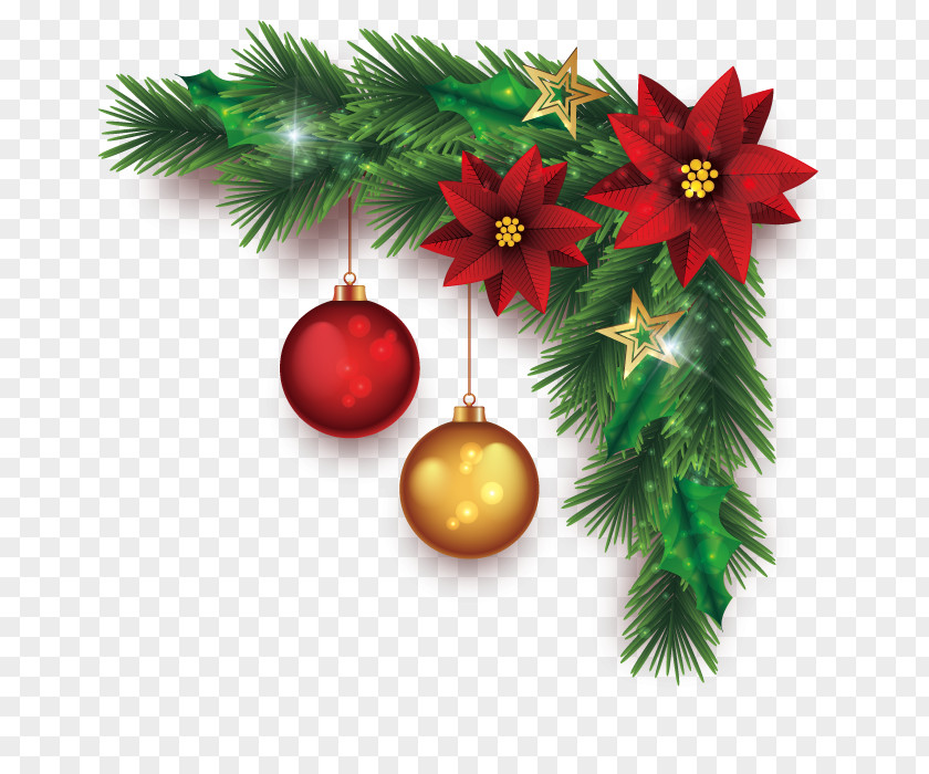 Vector Christmas Plant Beer Table Drink Coaster PNG