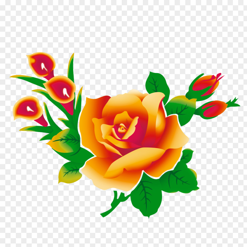 Orange Flower Beach Rose High-definition Television Clip Art PNG