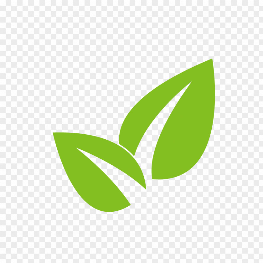 Plant Leaf Logo Root PNG