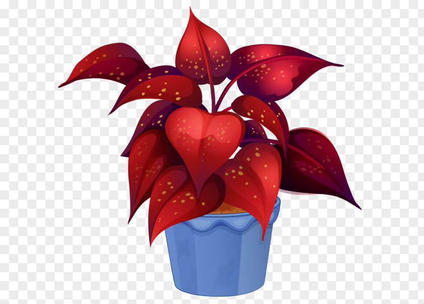Plant Ornamental Royalty-free Houseplant Garden PNG