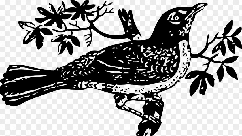 Birds Tree To Kill A Mockingbird Clip Art PNG
