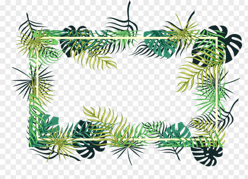 Clubmoss Yellow Fir Family Tree Background PNG