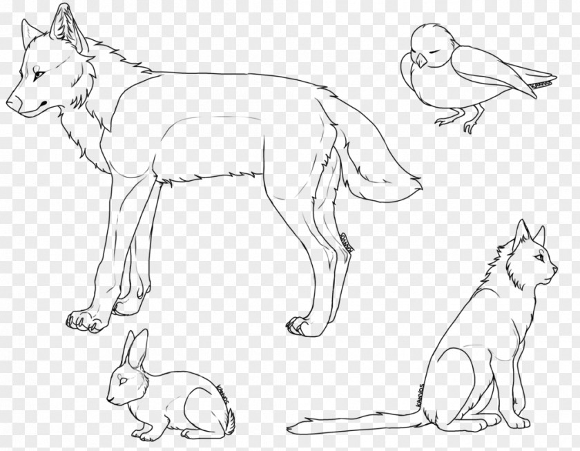Dog Line Art Whiskers Breed Cat PNG