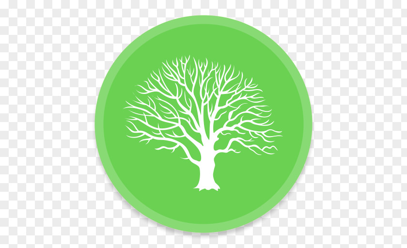 Green Tree Logo Genealogy Family MacFamilyTree History PNG
