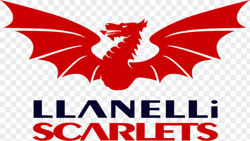 Parc Y Scarlets Guinness PRO14 European Rugby Champions Cup Llanelli RFC PNG