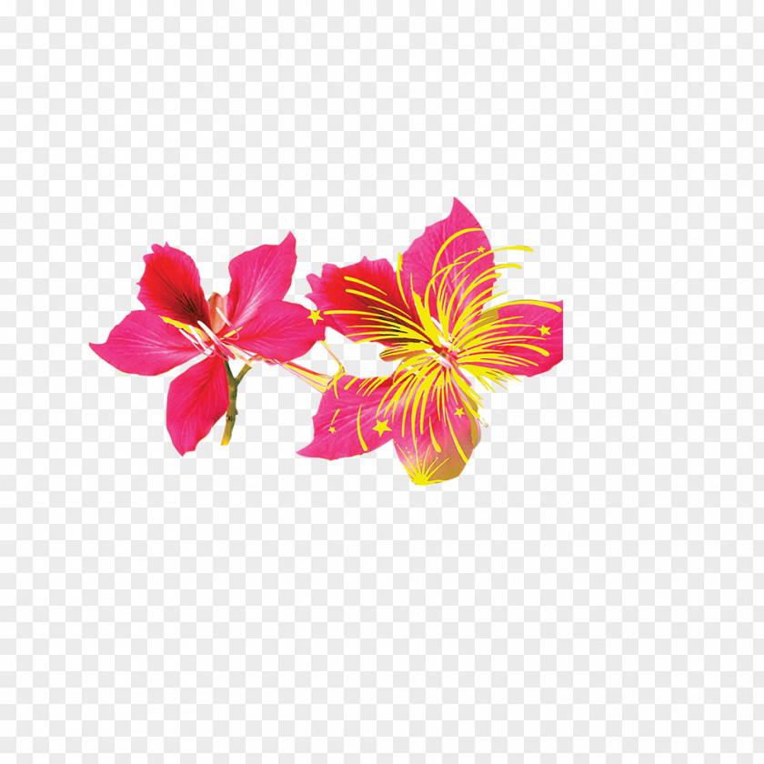 Red Flowers Creative Free Flower Bud PNG