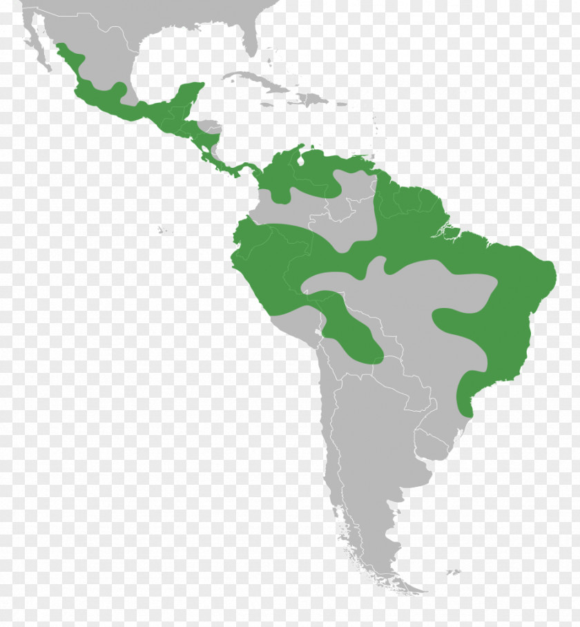 Distribution Latin America South United States Map PNG
