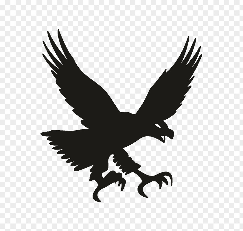 Eagle Bald Bird Decal Sticker PNG
