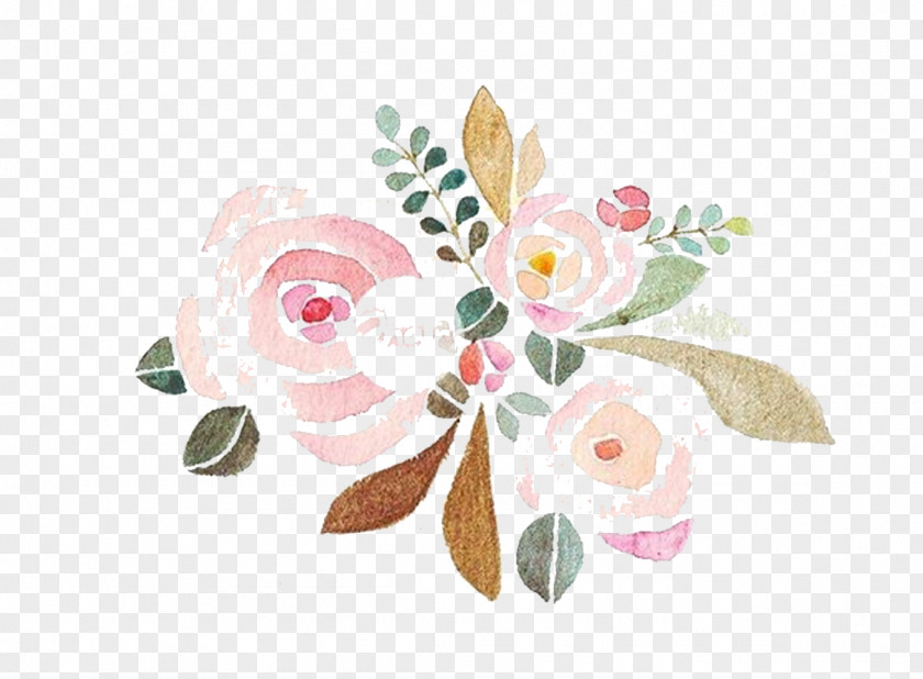 Flower Beach Rose Pink PNG