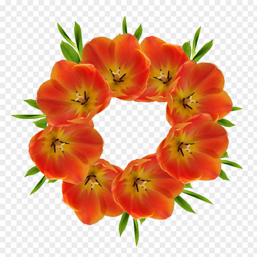 Flower Tulip Clip Art PNG