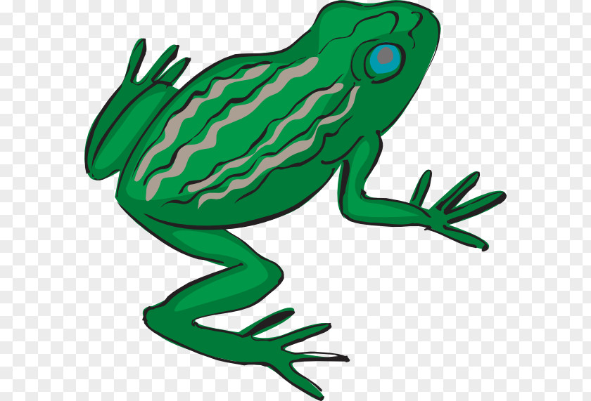 Frog Eyes Cliparts Legs Drawing Clip Art PNG