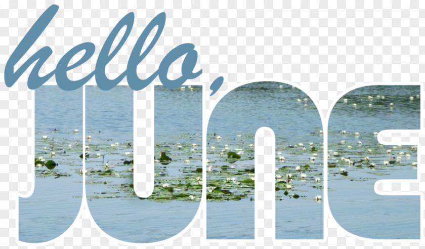 Hello June Paper Caseificio Stella Sticker Brand Window PNG