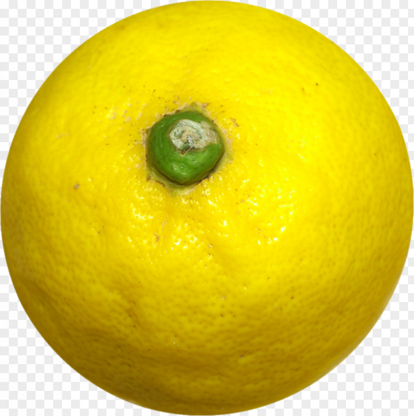 Lemon Sweet Persian Lime Key Citron PNG