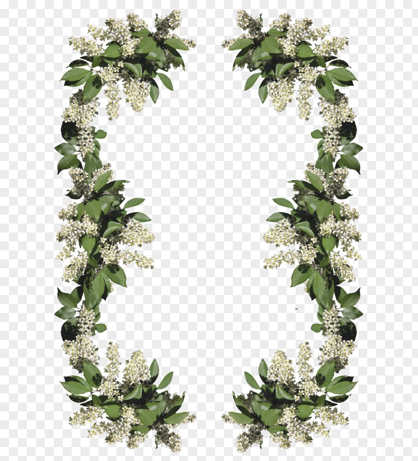 Plant Garland Border Picture Frame Photography PNG