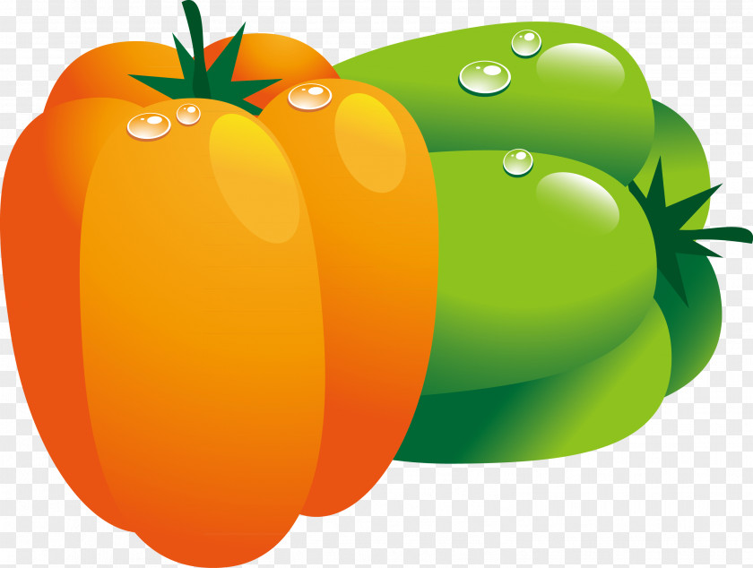 Red Green Pumpkin Hand Painted Vector Tomato Bell Pepper Vegetable Chili PNG