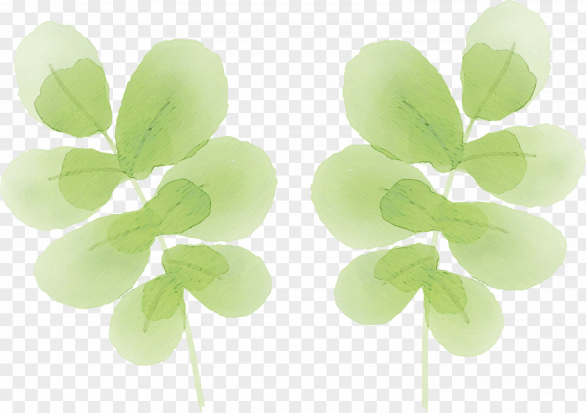 Shamrock PNG