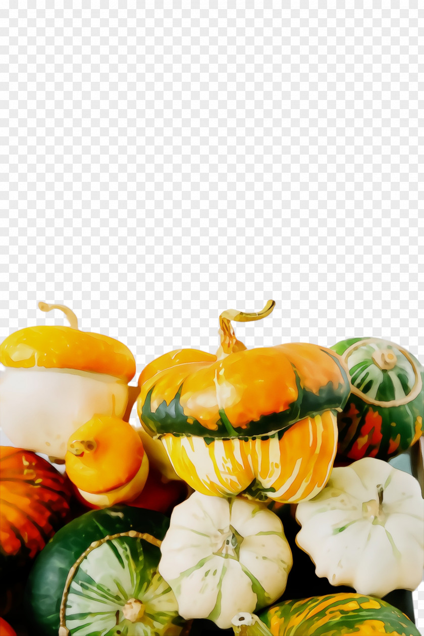 Still Life Photography Pumpkin PNG