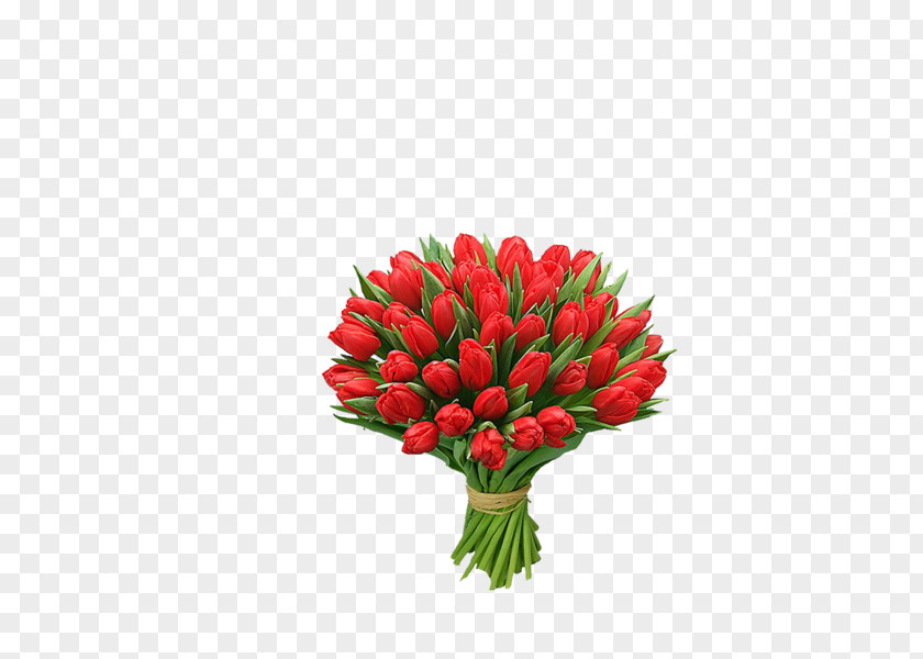 Tulip Flower Bouquet Gift International Women's Day PNG