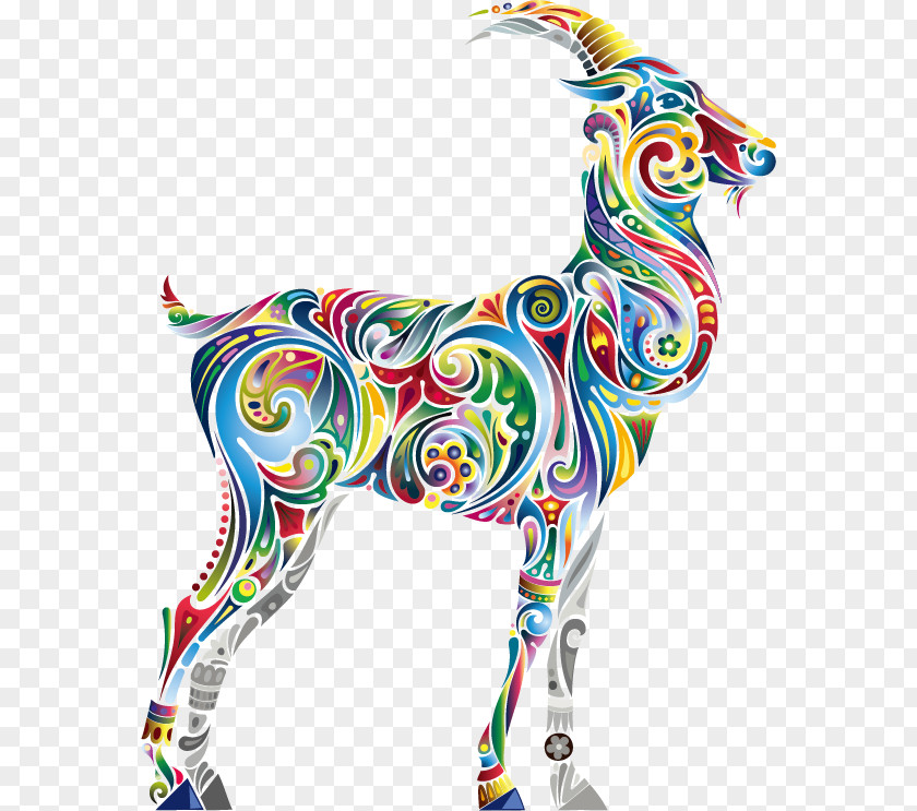Vector Color Animal PNG
