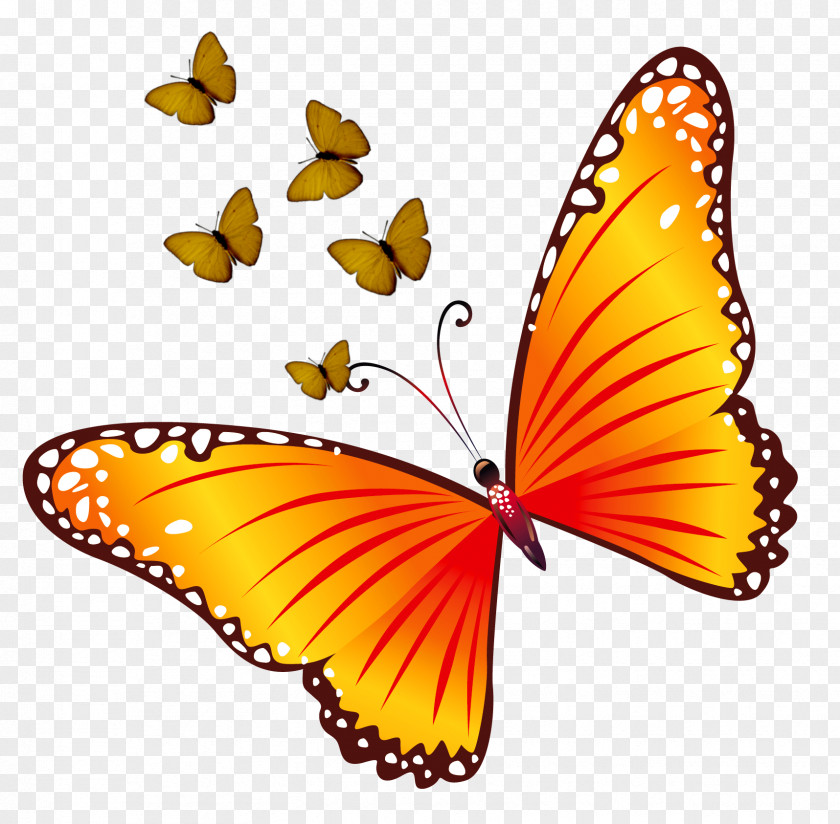 Butterfly Clip Art Beautiful Butterflies Openclipart PNG