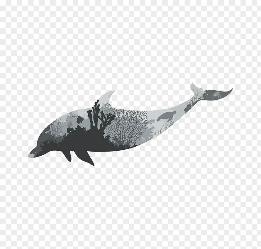 Dolphin Silhouette Vector Graphics Wall Decal Image Illustration PNG