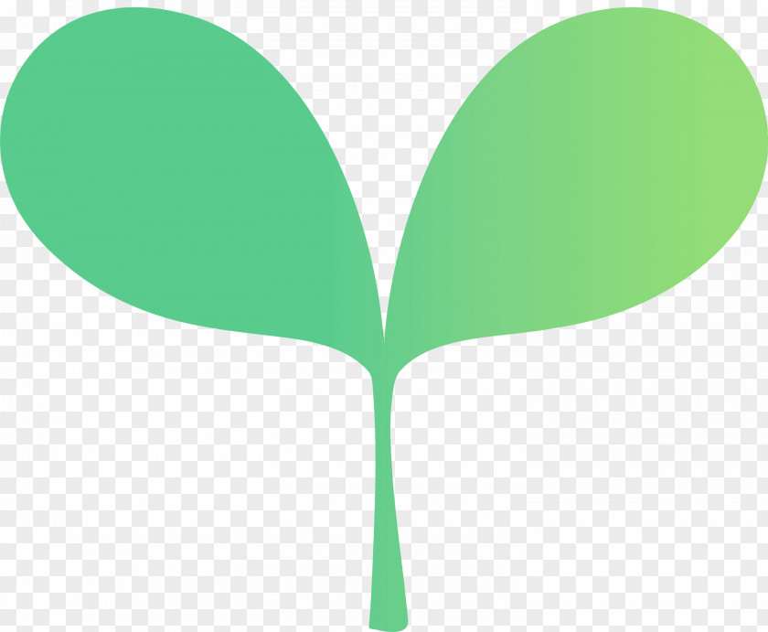 Green Leaf Tree Line Plant PNG