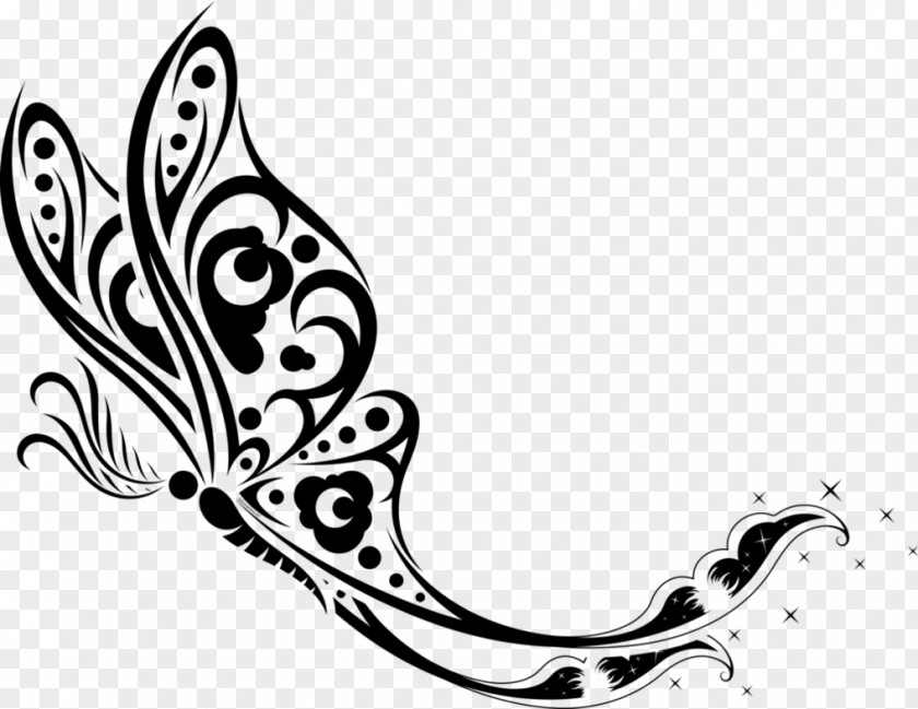 Moths And Butterflies Butterfly Moon Drawing PNG