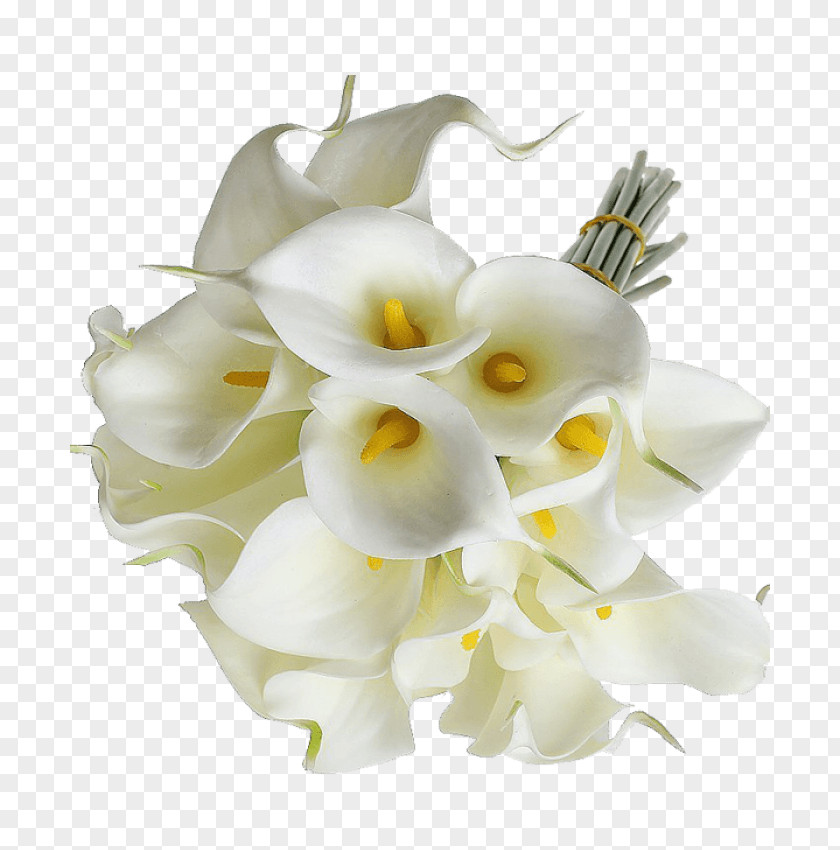 Wedding Arum-lily Flower Bouquet Bride Lilium PNG